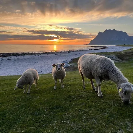 Дом отдыха Fisherman's Cabin, Lofoten - 12 Teronbua *